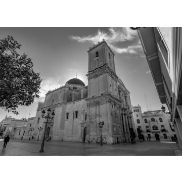 Lais Puzzle - Basilika von Santa Maria in Elche, Alicante, Spanien in schwarz weiß - 500, 1.000 & 2.000 Teile