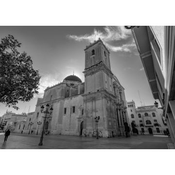 Lais Puzzle - Basilika von Santa Maria in Elche, Alicante, Spanien in schwarz weiß - 1.000 Teile