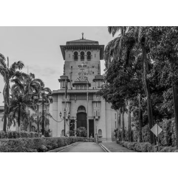 Lais Puzzle - Umgeben von Bäumen und Sträuchern führt der Weg zum Sultan Ibrahim Building in Johor Bahru Malaysia in schwarz weiß - 500, 1.000 & 2.000 Teile