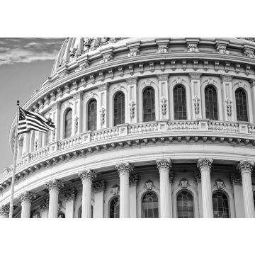 Lais Puzzle - United States Capitol, Washington D.C. in schwarz weiß - 500, 1.000 & 2.000 Teile
