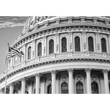 Lais Puzzle - United States Capitol, Washington D.C. in schwarz weiß - 1.000 Teile