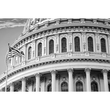 Lais Puzzle - United States Capitol, Washington D.C. in schwarz weiß - 2.000 Teile