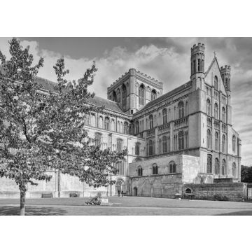 Lais Puzzle - Südwand der Peterborough Kathedrale, Cambridgeshire, England, Großbritannien in schwarz weiß - 500, 1.000 & 2.000 Teile