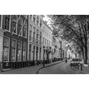 Lais Puzzle - Gasse entlang der Straße Lange Voorhout in Den Haag, Niederlande in schwarz weiß - 2.000 Teile