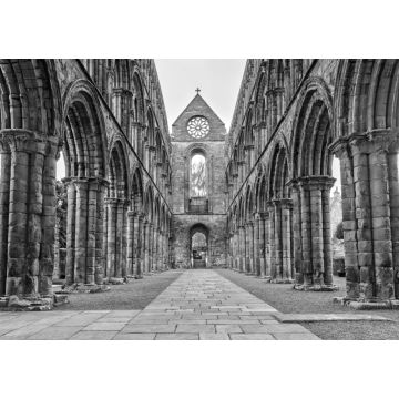 Lais Puzzle - Jedburgh Abbey in den schottischen Borders, Schottland in schwarz weiß - 1.000 Teile