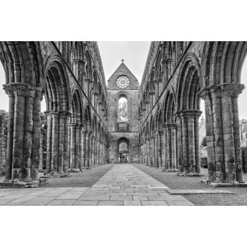 Lais Puzzle - Jedburgh Abbey in den schottischen Borders, Schottland in schwarz weiß - 2.000 Teile