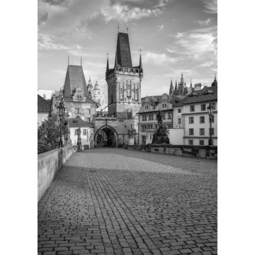 Lais Puzzle - Karlsbrücke in Prag / Schöner sonniger Morgenblick auf die Karlsbrücke in Prag, Tschechische Republik in schwarz weiß - 1.000 Teile