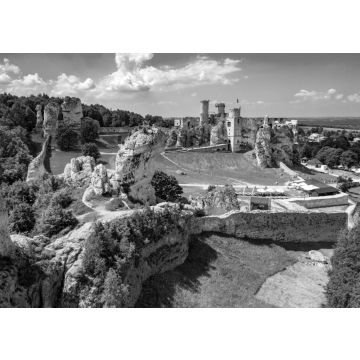 Lais Puzzle - Mittelalterliche Burgruinen in Ogrodzieniec, Polen in schwarz weiß - 500, 1.000 & 2.000 Teile