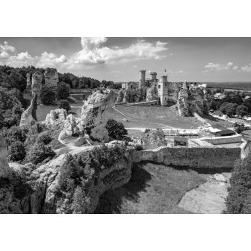 Lais Puzzle - Mittelalterliche Burgruinen in Ogrodzieniec, Polen in schwarz weiß - 1.000 Teile