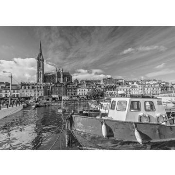 Lais Puzzle - Impression der St. Colman's Kathedrale in Cobh bei Cork, Irland in schwarz weiß - 500, 1.000 & 2.000 Teile