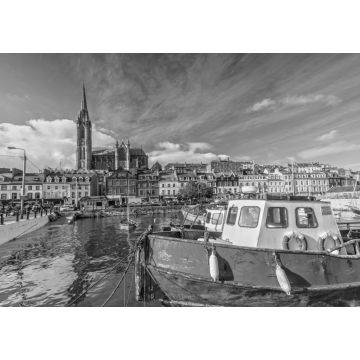 Lais Puzzle - Impression der St. Colman's Kathedrale in Cobh bei Cork, Irland in schwarz weiß - 1.000 Teile