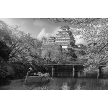 Lais Puzzle - Burg Himeji mit wunderschönen Kirschblüten, die Burg Himeji ist ein berühmter Aussichtspunkt für Kirschblüten in Osaka in schwarz weiß - 2.000 Teile