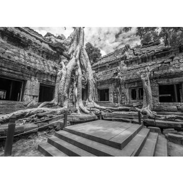 Lais Puzzle - Alter buddhistischer Khmer-Tempel in Angkor Wat, Kambodscha.Ta Prohm Prasat in schwarz weiß - 500, 1.000 & 2.000 Teile