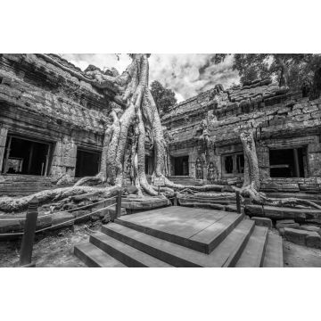 Lais Puzzle - Alter buddhistischer Khmer-Tempel in Angkor Wat, Kambodscha.Ta Prohm Prasat in schwarz weiß - 2.000 Teile