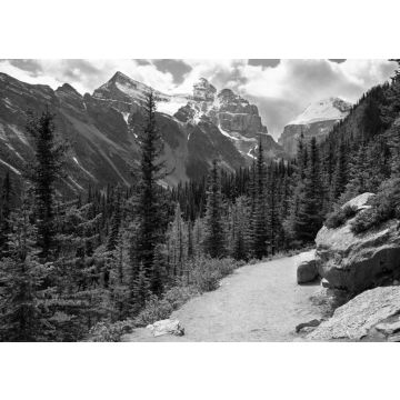 Lais Puzzle - Lake Louise, Alberta, Kanada in schwarz weiß - 500, 1.000 & 2.000 Teile