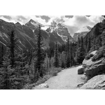 Lais Puzzle - Lake Louise, Alberta, Kanada in schwarz weiß - 1.000 Teile