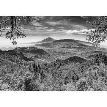 Lais Puzzle - Masca Tal.Kanarische Insel.Teneriffa.Spanien.Malerische Berglandschaft.Kaktus,Vegetation und Sonnenuntergang Panorama in Teneriffa in schwarz weiß - 1.000 Teile