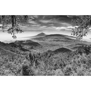 Lais Puzzle - Masca Tal.Kanarische Insel.Teneriffa.Spanien.Malerische Berglandschaft.Kaktus,Vegetation und Sonnenuntergang Panorama in Teneriffa in schwarz weiß - 2.000 Teile