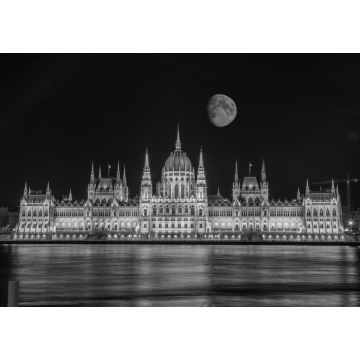 Lais Puzzle - Superblutmond in Budapest, Ungarn in schwarz weiß - 1.000 Teile