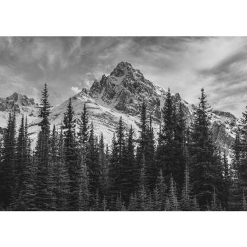 Lais Puzzle - Blick auf die kanadischen Rocky Mountains im Banff National Park in Alberta in schwarz weiß - 500, 1.000 & 2.000 Teile