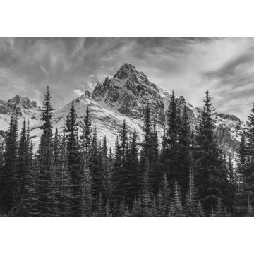 Lais Puzzle - Blick auf die kanadischen Rocky Mountains im Banff National Park in Alberta in schwarz weiß - 1.000 Teile