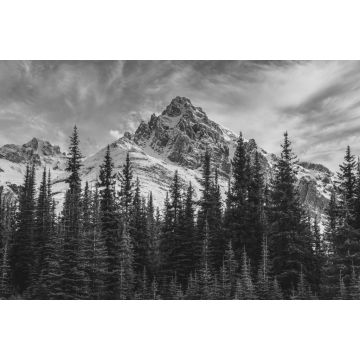 Lais Puzzle - Blick auf die kanadischen Rocky Mountains im Banff National Park in Alberta in schwarz weiß - 2.000 Teile