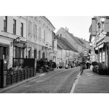 Lais Puzzle - Straßencafés mit Tischen und Stühlen im alten Stadtzentrum von Ptuj in Slowenien in schwarz weiß - 500, 1.000 & 2.000 Teile