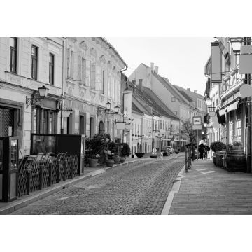 Lais Puzzle - Straßencafés mit Tischen und Stühlen im alten Stadtzentrum von Ptuj in Slowenien in schwarz weiß - 1.000 Teile