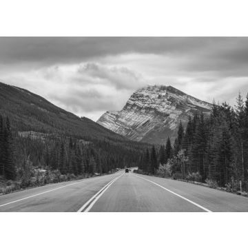 Lais Puzzle - Roadtrip mit Rocky Mountains im Herbstwald bei trübem Wetter im Banff National Park in schwarz weiß - 500, 1.000 & 2.000 Teile