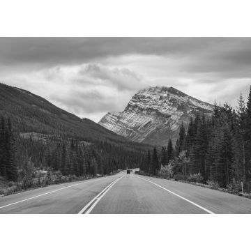 Lais Puzzle - Roadtrip mit Rocky Mountains im Herbstwald bei trübem Wetter im Banff National Park in schwarz weiß - 1.000 Teile