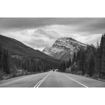 Lais Puzzle - Roadtrip mit Rocky Mountains im Herbstwald bei trübem Wetter im Banff National Park in schwarz weiß - 2.000 Teile