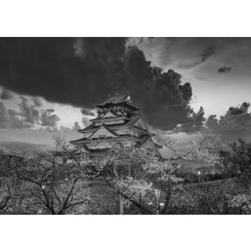 Lais Puzzle - Kirschblüte im Schloss von Osaka, Japan bei Nacht in schwarz weiß - 500, 1.000 & 2.000 Teile