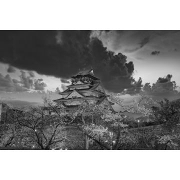 Lais Puzzle - Kirschblüte im Schloss von Osaka, Japan bei Nacht in schwarz weiß - 2.000 Teile