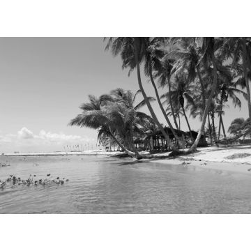 Lais Puzzle - Palmengesäumter Süßwasserstrand bei Ada Foah, Ghana in schwarz weiß - 1.000 Teile