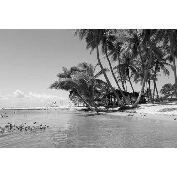 Lais Puzzle - Palmengesäumter Süßwasserstrand bei Ada Foah, Ghana in schwarz weiß - 2.000 Teile