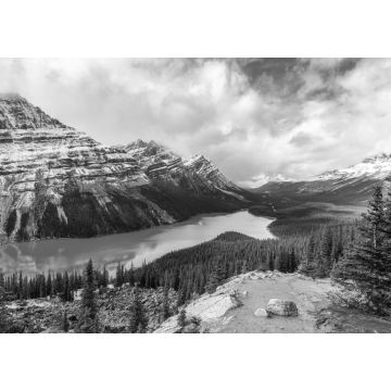 Lais Puzzle - Peyto See ähnelt einem Fuchs im Banff Nationalpark in Kanada in schwarz weiß - 1.000 Teile