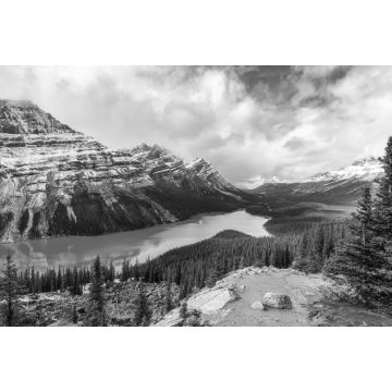 Lais Puzzle - Peyto See ähnelt einem Fuchs im Banff Nationalpark in Kanada in schwarz weiß - 2.000 Teile