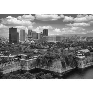 Lais Puzzle - Stadtbild von oben auf die Stadt Osaka und die Burg von Osaka in schwarz weiß - 1.000 Teile