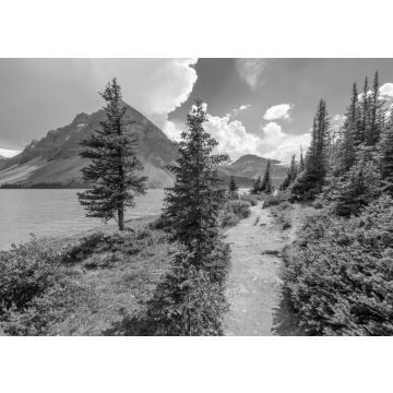 Lais Puzzle - Fragment eines Bergseewegs in Alberta, Kanada, Rocky Mountains in schwarz weiß - 500, 1.000 & 2.000 Teile