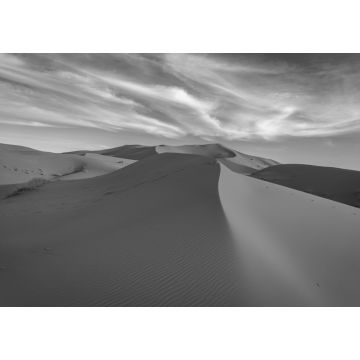 Lais Puzzle - Sanddünen in der Wüste Sahara, Marokko in schwarz weiß - 1.000 Teile