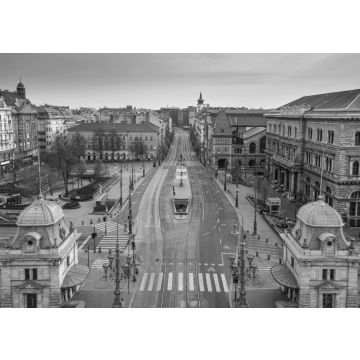 Lais Puzzle - Budapest, Ungarn - Luftaufnahme des Fovam-Platzes und der völlig leeren Straßen am Vamhaz-Boulevard (Vamhaz korut) und der zentralen Markthalle in schwarz weiß - 500, 1.000 & 2.000 Teile