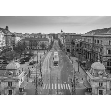 Lais Puzzle - Budapest, Ungarn - Luftaufnahme des Fovam-Platzes und der völlig leeren Straßen am Vamhaz-Boulevard (Vamhaz korut) und der zentralen Markthalle in schwarz weiß - 1.000 Teile