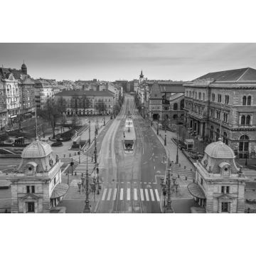 Lais Puzzle - Budapest, Ungarn - Luftaufnahme des Fovam-Platzes und der völlig leeren Straßen am Vamhaz-Boulevard (Vamhaz korut) und der zentralen Markthalle in schwarz weiß - 2.000 Teile