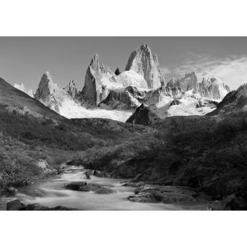Lais Puzzle - Patagonien Berge Gletscher Wanderweg in Herbstlandschaft Mt. Cerro Fitz Roy Argentinien in schwarz weiß - 1.000 Teile