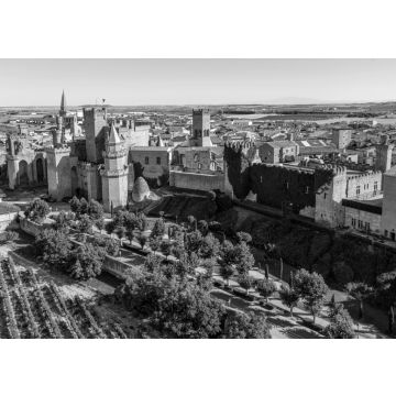 Lais Puzzle - Palast Real in Olite. Navarra, Spanien in schwarz weiß - 500, 1.000 & 2.000 Teile