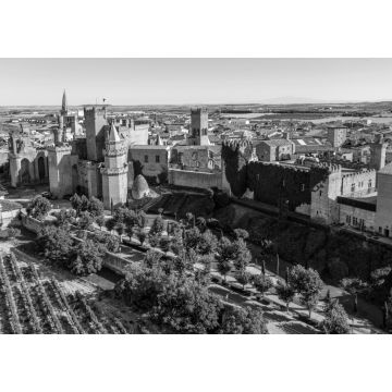 Lais Puzzle - Palast Real in Olite. Navarra, Spanien in schwarz weiß - 1.000 Teile