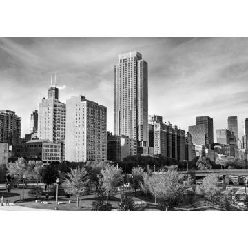 Lais Puzzle - Skyline von Chicago am Grant Park in Illinois - Vereinigte Staaten in schwarz weiß - 1.000 Teile