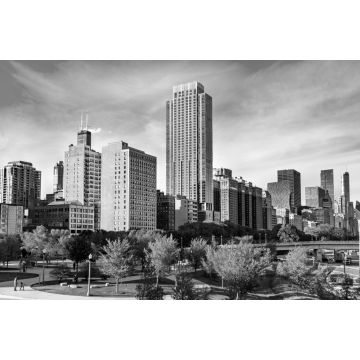 Lais Puzzle - Skyline von Chicago am Grant Park in Illinois - Vereinigte Staaten in schwarz weiß - 2.000 Teile
