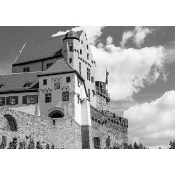 Lais Puzzle - Niemcy, zamek w Alzenau. Zabytki Bawarii. Budowla z kamienia. Lato w miescie. Historyczne miejsca w Niemczech. in schwarz weiß - 1.000 Teile