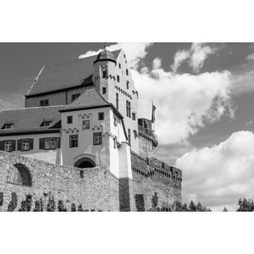 Lais Puzzle - Niemcy, zamek w Alzenau. Zabytki Bawarii. Budowla z kamienia. Lato w miescie. Historyczne miejsca w Niemczech. in schwarz weiß - 2.000 Teile